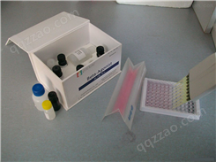 人5羟色胺（5-HT）ELISA试剂盒